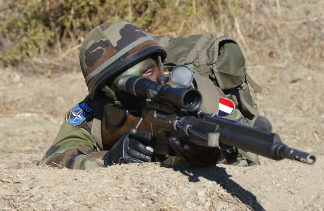 Обои картинки фото оружие, армия, спецназ, куст, листья, ветки, soldiers, army