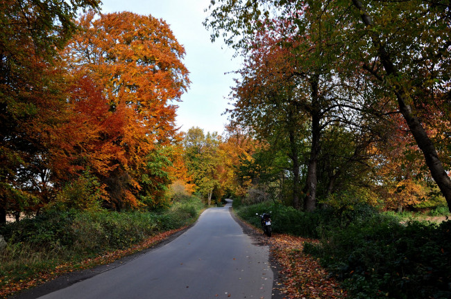 Обои картинки фото природа, дороги, осень