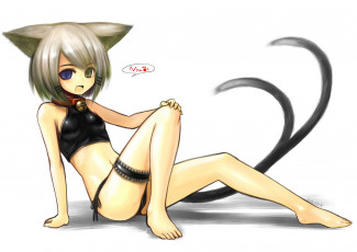 Картинка аниме -animals kotoba noriaki арт ошейник колокольчик гетерохромия хвосты ушки девушка