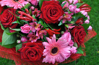обоя цветы, букеты,  композиции, герберы, альстромерия, розы