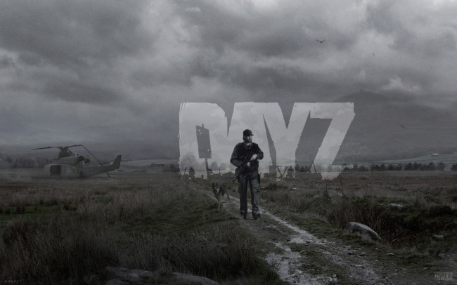 Обои картинки фото dayz, видео игры, dayz standalone, дорога, небо, человек, heli, crash, вертолет, собака, зомби, zombie, standalone, поле, day, z, серое