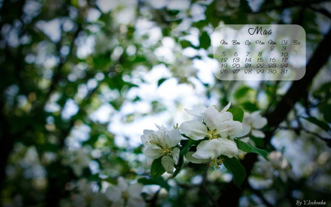 Обои картинки фото календари, цветы, весна