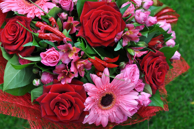 Обои картинки фото цветы, букеты,  композиции, герберы, альстромерия, розы