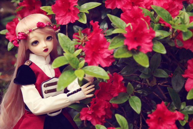 Обои картинки фото разное, игрушки, кукла, азалия