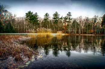 Картинка природа реки озера лес река