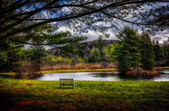 Картинка природа реки озера река лес