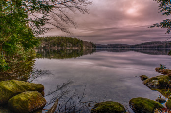 Картинка природа реки озера река лес