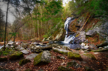 Картинка природа водопады лес река