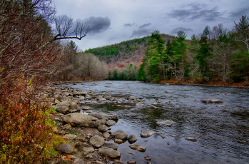 Картинка природа реки озера лес река