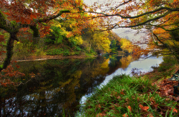 Картинка природа реки озера река лес