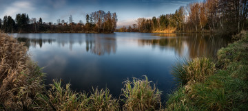 Картинка природа реки озера река лес