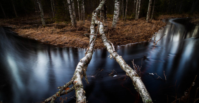 Обои картинки фото природа, реки, озера, лес, река