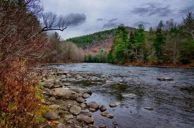 Обои картинки фото природа, реки, озера, лес, река