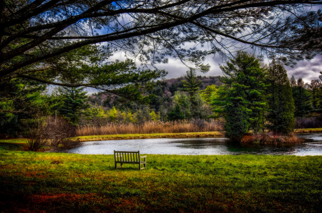 Обои картинки фото природа, реки, озера, река, лес