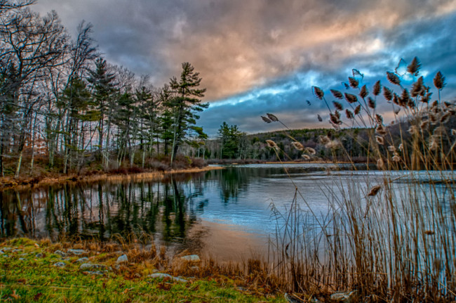 Обои картинки фото природа, реки, озера, река, лес