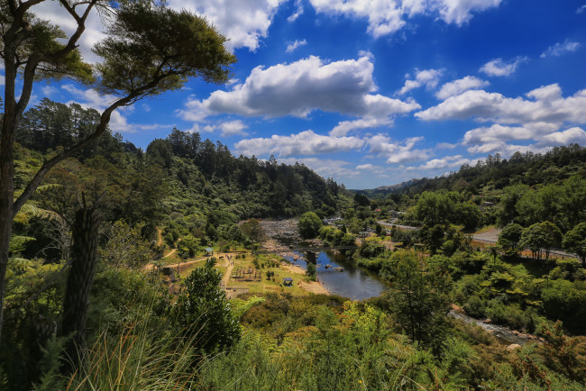 Обои картинки фото природа, реки, озера, река, лес