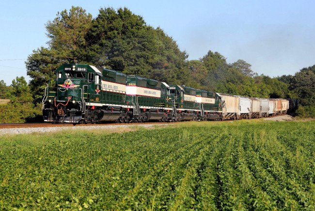 Обои картинки фото техника, поезда, рельсы, состав, локомотив