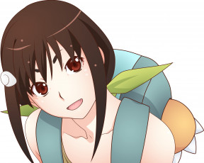 Картинка аниме bakemonogatari девушка взгляд фон