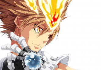 Картинка аниме katekyo+hitman+reborn савада