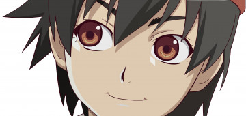 Картинка аниме bakemonogatari фон взгляд девушка