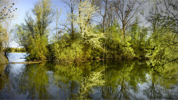 Картинка природа реки озера лес река