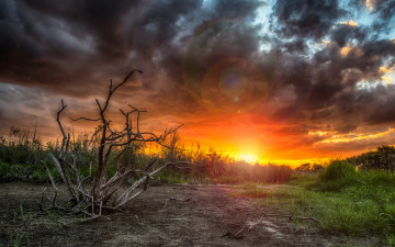 Картинка природа восходы закаты рассвет