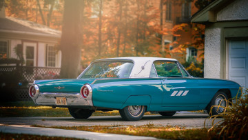 Картинка автомобили ford thunderbird