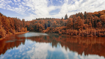 Картинка природа реки озера река деревья осень