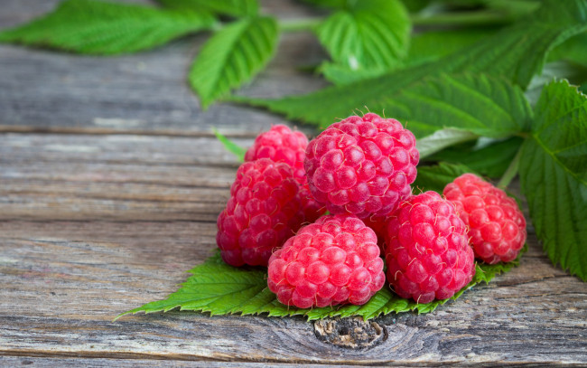 Обои картинки фото еда, малина, ягоды, листья