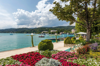 Картинка природа парк озеро клумбы