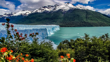 Картинка peitro+moreno+glacier argentina природа айсберги+и+ледники peitro moreno glacier