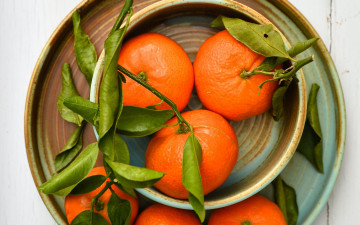 Картинка еда цитрусы мандарины