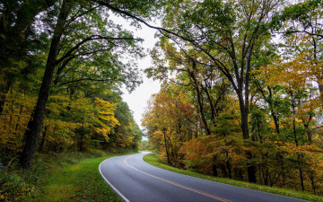 Картинка природа дороги шоссе