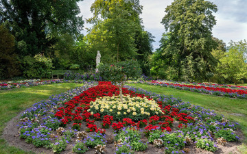 Картинка природа парк лето клумба