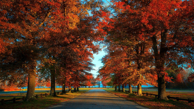Обои картинки фото природа, парк, осень, листопад