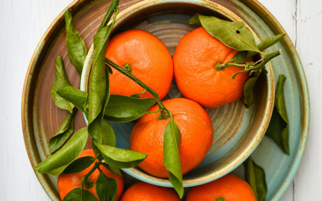 Обои картинки фото еда, цитрусы, мандарины