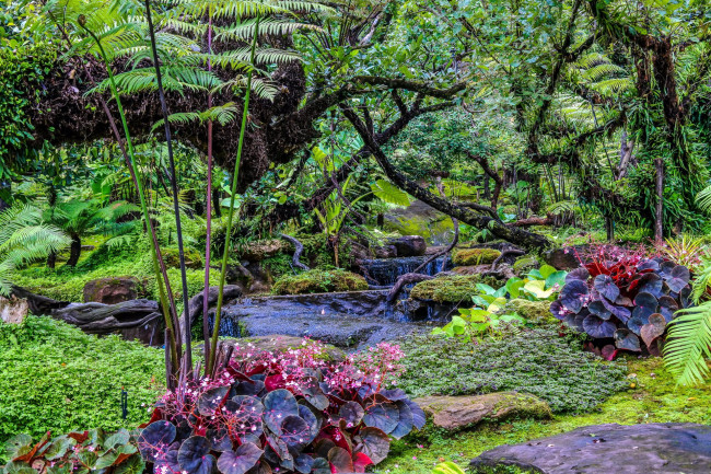 Обои картинки фото thailand, природа, парк