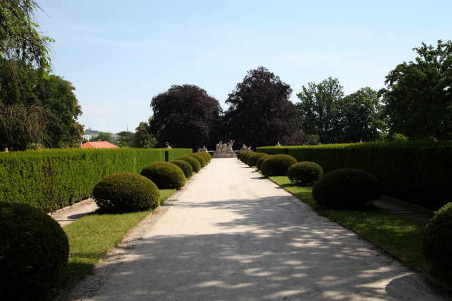 Обои картинки фото природа, парк, аллея