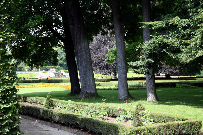 Обои картинки фото природа, парк, деревья