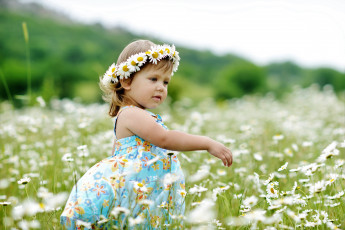 Картинка разное дети девочка венок поле ромашки
