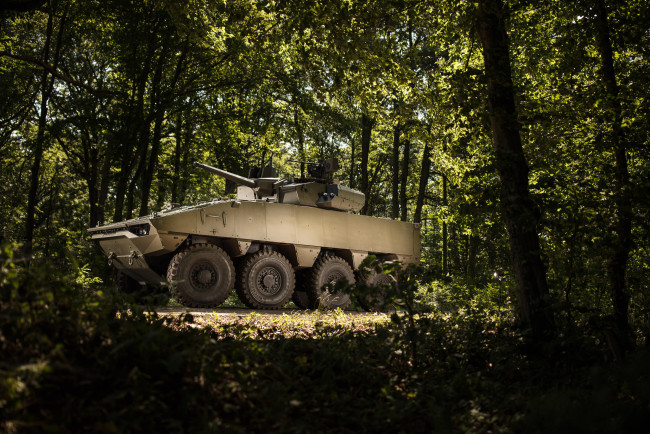 Обои картинки фото техника, военная техника, nexter