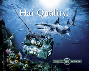 Картинка karlsberg urpils бренды