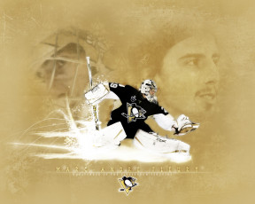 Картинка fleury спорт nhl