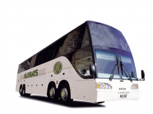 Картинка автомобили автобусы