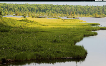 Картинка природа реки озера