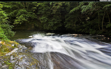 Картинка природа реки озера