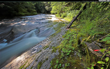 Картинка природа реки озера