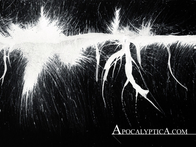 Обои картинки фото музыка, apocalyptica