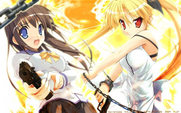 Картинка аниме weapon blood technology