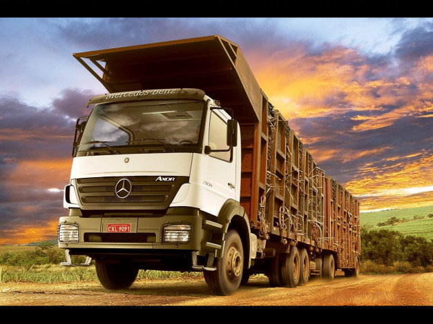 Обои картинки фото автомобили, mercedes, trucks